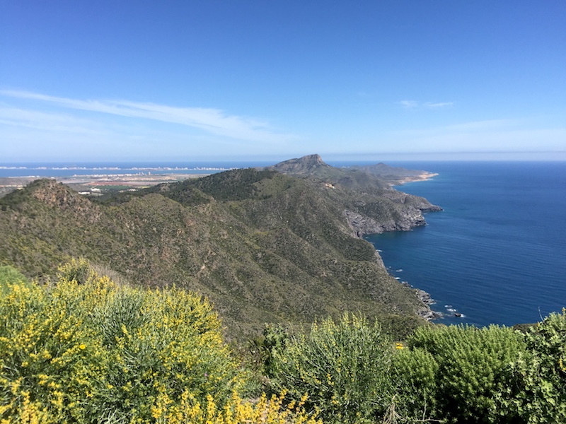 View from the Bateria